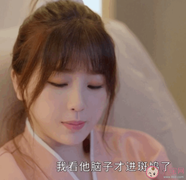 圓柏斑鳩是什么梗 你個圓柏你個斑鳩是什么意思