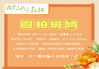 圓柏斑鳩是什么梗 你個(gè)圓柏你個(gè)斑鳩是什么意思