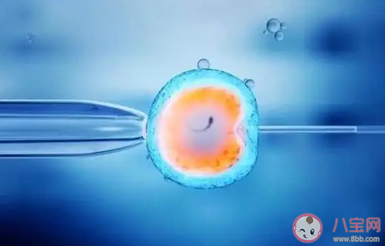 試管嬰兒失敗的原因有哪些 失敗后要做哪些檢查