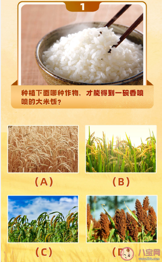 干飯人等級測試 你知道這些農作物是什么原料做成的嗎 干飯人等級測試 你知道這些農作物是什么原料做成的嗎