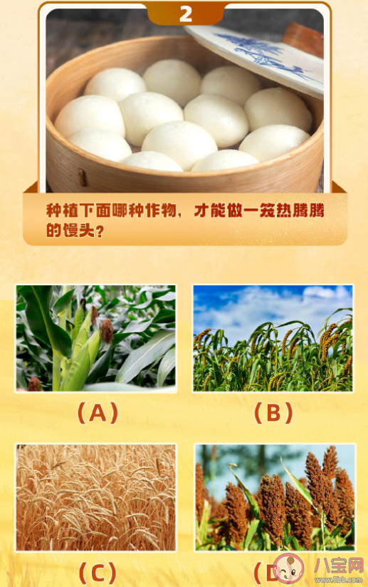 干飯人等級測試 你知道這些農作物是什么原料做成的嗎 干飯人等級測試 你知道這些農作物是什么原料做成的嗎