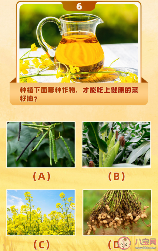 干飯人等級測試 你知道這些農作物是什么原料做成的嗎 干飯人等級測試 你知道這些農作物是什么原料做成的嗎