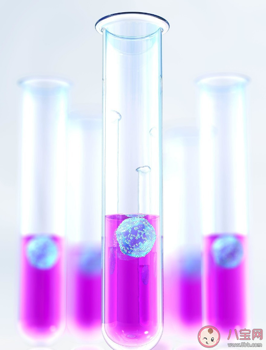 體外受精胚胎14天規則是什么意思 哪些情況可以選擇體外受精