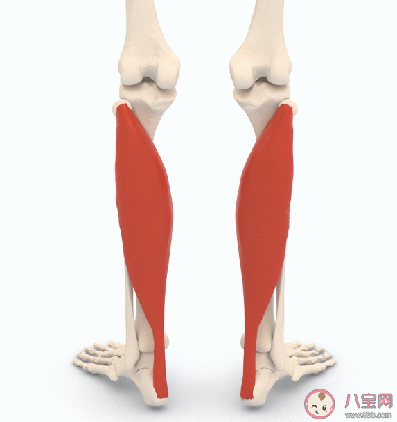 研究稱坐著抖腿有助于減肥 抖腿有什么好處 研究稱坐著抖腿有助于減肥 抖腿有什么好處