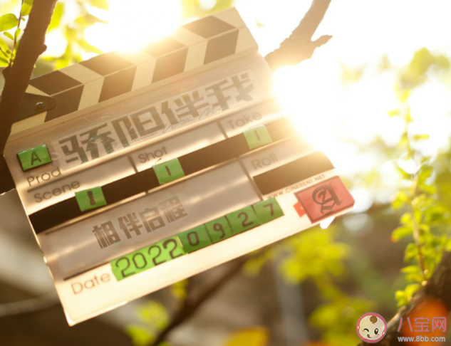 《驕陽伴我》原著小說是什么 《驕陽伴我》講的是什么故事