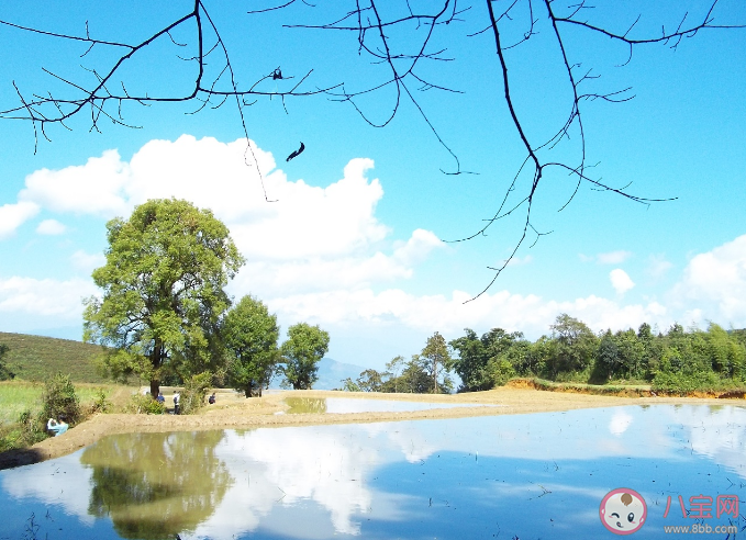 年輕人為什么選擇躺游 今年國慶哪種旅游方式受歡迎