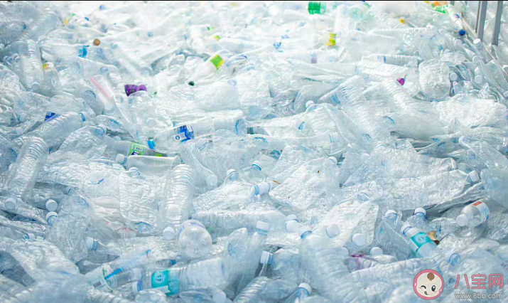 人類血栓中首次發現微塑料 血栓是如何形成的