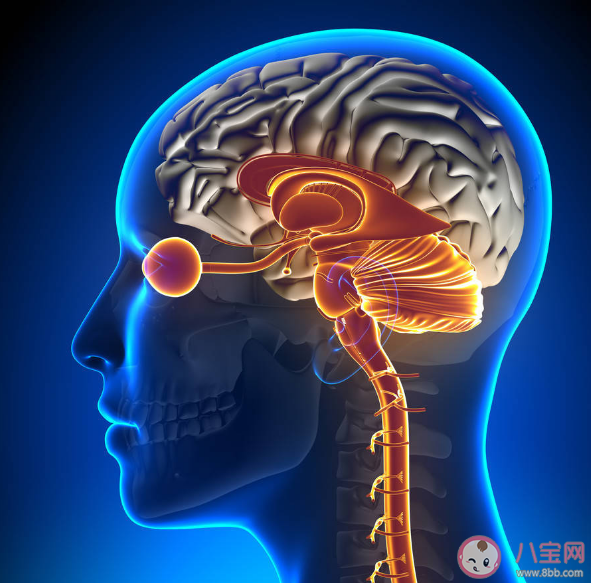 為什么天冷會誘發腦卒中 預防心腦血管疾病發生要從這5個方面入手