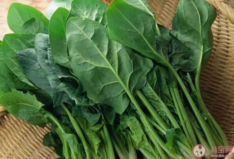 秋季容易出現(xiàn)哪種上火 去火食物推薦