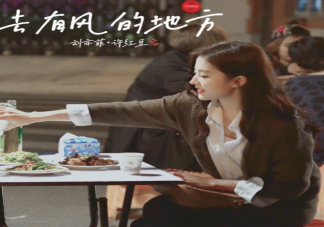 《去有風的地方》原著小說是什么 《去有風的地方》講的是什么故事