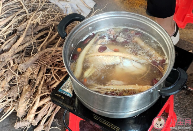 月子中心在雞湯里加黨參被罰 雞湯里面不能加黨參嗎