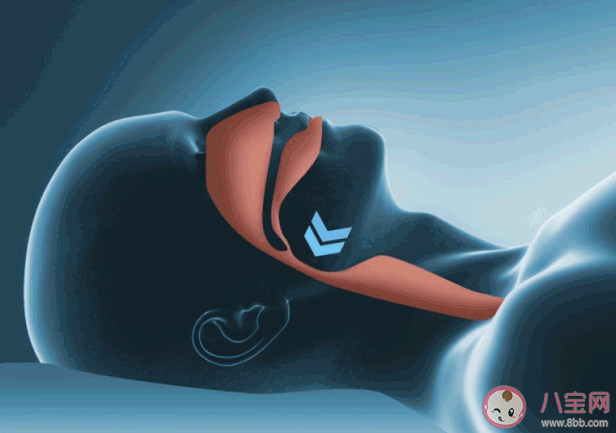 為什么當航天員不能打呼嚕 看完打呼嚕的危害就明白了