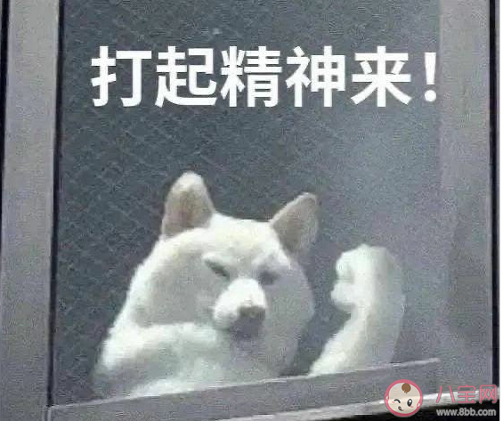 先質疑別相信是什么梗 先質疑別相信什么意思