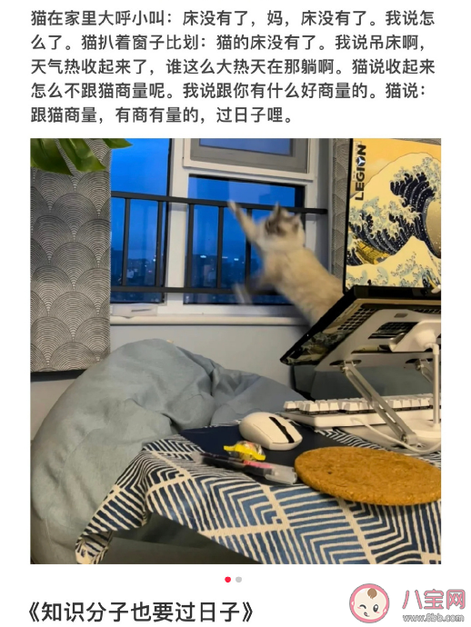 小貓文學是什么梗什么意思 小貓文學語錄文案大全