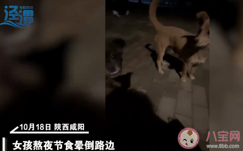 女生校內暈倒2流浪狗舔鼻喚醒 發現有人暈倒該怎么辦