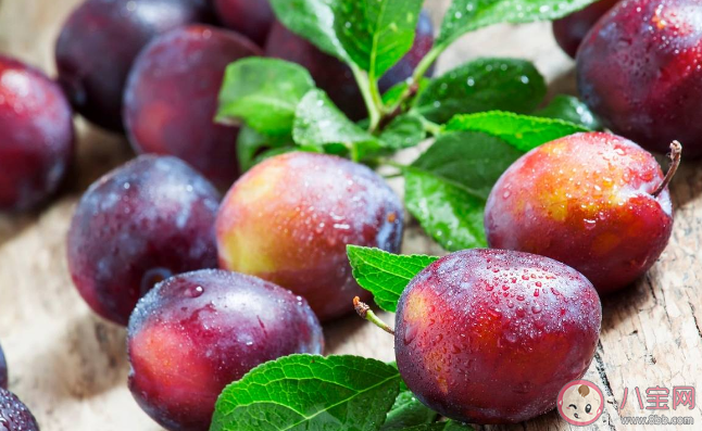 吃西梅的好處有哪些 西梅吃多了會怎么樣
