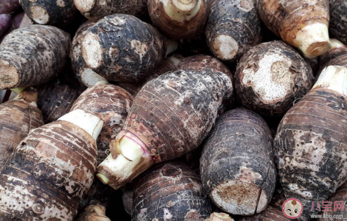 吃芋頭有哪些好處 芋頭簡單家常做法步驟