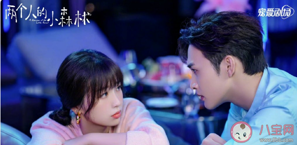 《兩個人的小森林》有第二部嗎 網(wǎng)友是怎么看待的