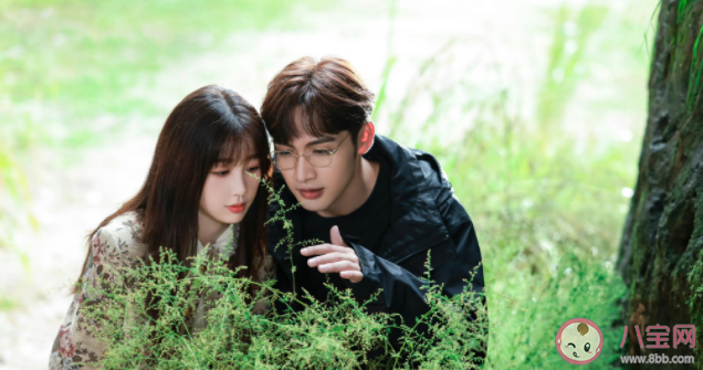 《兩個(gè)人的小森林》第二部在籌備中嗎 第二部還是不是原班人馬