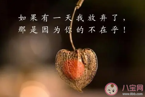 若把你比作歌你便是那高山流水是什么歌 《若把你》完整版歌詞在線聽歌