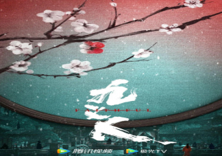 電視劇《九義人》根據(jù)什么小說改編的 《九義人》主要人物介紹