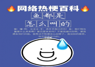 魚怎么叫是什么梗什么意思 魚怎么叫梗出處是什么