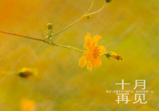 10月最后一天發(fā)朋友圈文案 10月最后一天心情感言句子