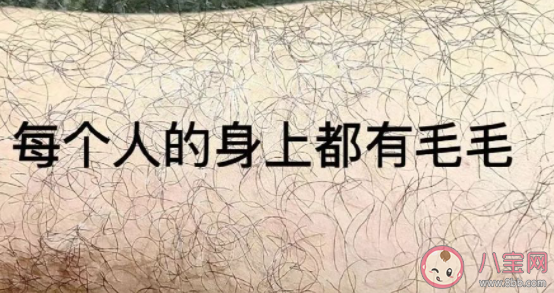 女生為什么會腿毛多 女生腿毛多有福氣嗎
