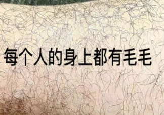 女生為什么會(huì)腿毛多 女生腿毛多有福氣嗎
