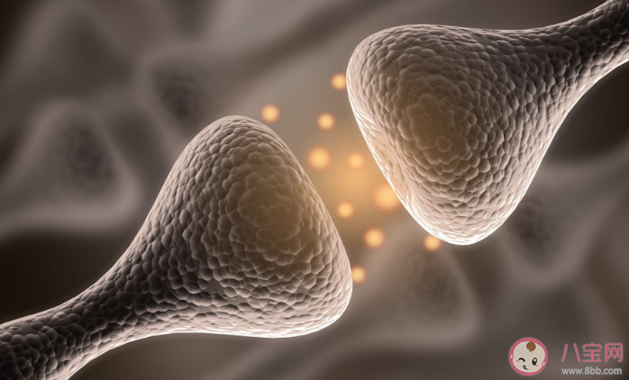 研究稱催產素易引發女性焦慮 為什么女性更易感到社交焦慮