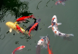 不內(nèi)耗的生活有多爽 如何擺脫精神內(nèi)耗
