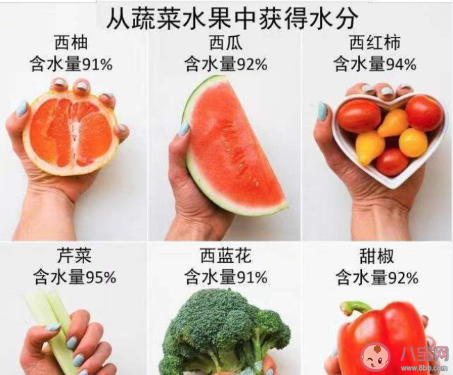 減肥只吃水煮菜更易反彈嗎 減肥期間如何健康飲食