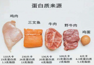 減肥只吃水煮菜更易反彈嗎 減肥期間如何健康飲食