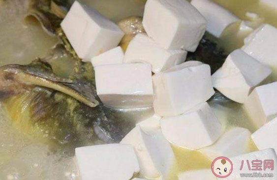 在燉魚的時候能不能放八角 魚怎么做好吃
