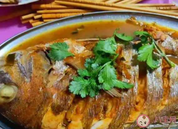 在燉魚的時候能不能放八角 魚怎么做好吃