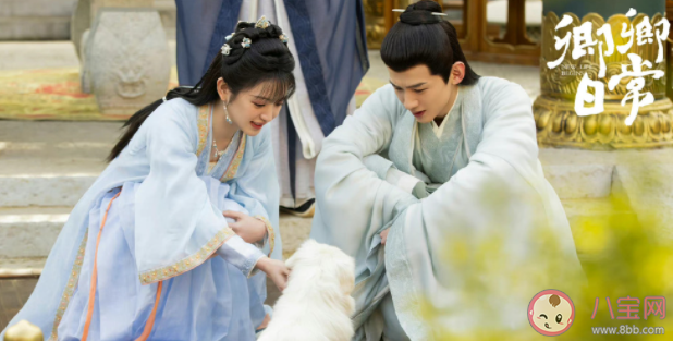 《卿卿日常》劇評怎么寫 《卿卿日常》好看嗎