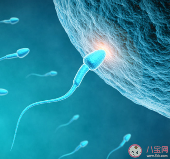 研究稱男性生育能力斷崖式下跌 影響男性生育能力的因素有哪些