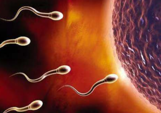 研究稱男性生育能力斷崖式下跌 影響男性生育能力的因素有哪些