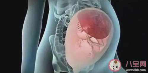 研究發現妊娠影響女性大腦結構與功能 妊娠對女性的身體有哪些影響 研究發現妊娠影響女性大腦結構與功能 妊娠對女性的身體有哪些影響