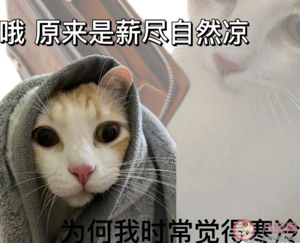 足球反著買別墅靠著海是什么梗 今年世界杯為啥會出現(xiàn)兩個冷門