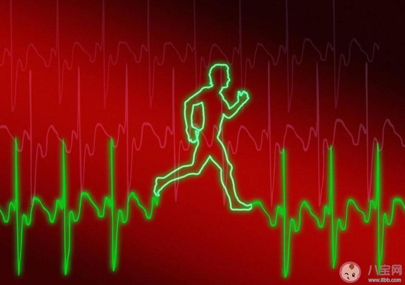 心跳稍慢的人更長壽 心率越慢則越容易長壽嗎