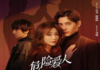 《危險愛人》是根據什么小說改編的 《危險愛人》講的是什么故事