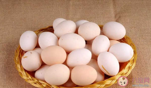 土雞蛋更安全更有營(yíng)養(yǎng)嗎 土雞蛋為什么更好吃 土雞蛋更安全更有營(yíng)養(yǎng)嗎 土雞蛋為什么更好吃