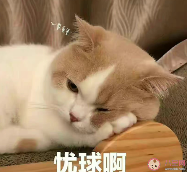 為什么年輕人不愛看黃金8點檔了 黃金8點檔不受歡迎的原因是什么