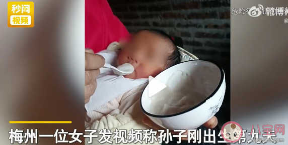 婆婆給出生9天寶寶喂米糊是怎么回事 寶寶剛出生能吃米糊嗎 婆婆給出生9天寶寶喂米糊是怎么回事 寶寶剛出生能吃米糊嗎