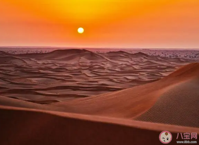 沙漠里的沙子能直接用來建造房屋嗎 螞蟻莊園12月15日答案 沙漠里的沙子能直接用來建造房屋嗎 螞蟻莊園12月15日答案