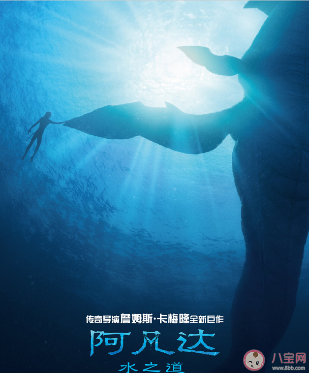 看阿凡達(dá)2買(mǎi)什么票效果最好 《阿凡達(dá)2》片源質(zhì)量有哪些格式