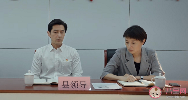 如何評(píng)價(jià)胡歌在縣委大院中的表現(xiàn) 梅曉歌的權(quán)力有多大