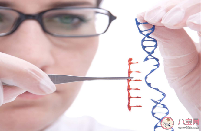 研究抗體高更容易失去嗅覺或味覺是怎么回事 感染新冠嗅覺味覺消失多久恢復 研究抗體高更容易失去嗅覺或味覺是怎么回事 感染新冠嗅覺味覺消失多久恢復