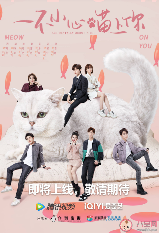 《一不小心喵上你》講述了什么故事 該劇各人物角色介紹